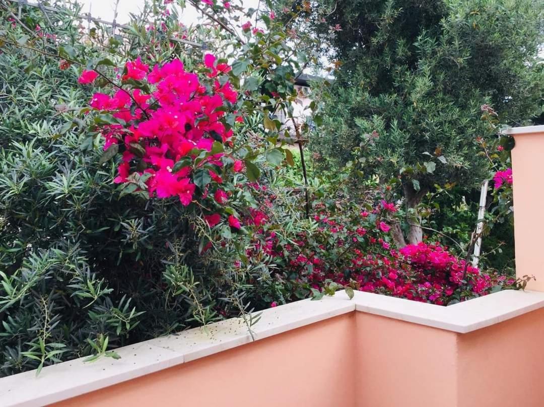 B & B Jasmine Santa Teresa Di Riva Eksteriør billede